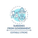 Government Subsidy